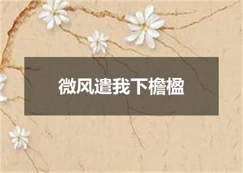 微风遣我下檐楹