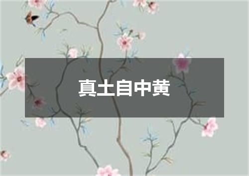 真土自中黄