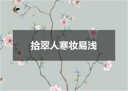 拾翠人寒妆易浅