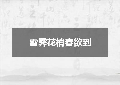雪霁花梢春欲到