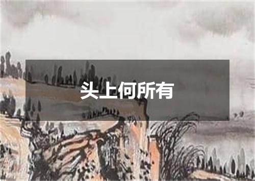 头上何所有