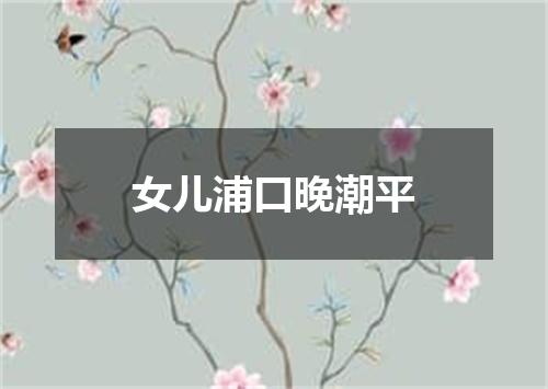 女儿浦口晚潮平