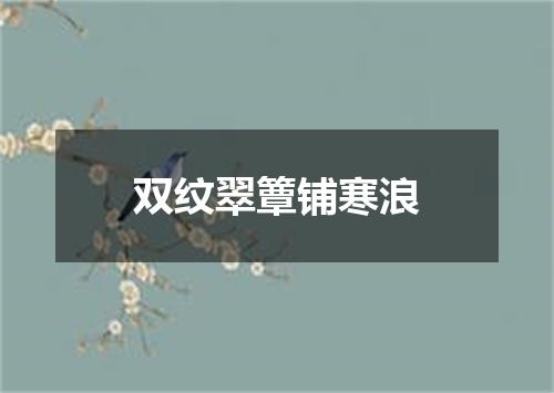 双纹翠簟铺寒浪
