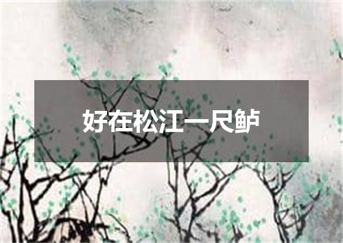 好在松江一尺鲈
