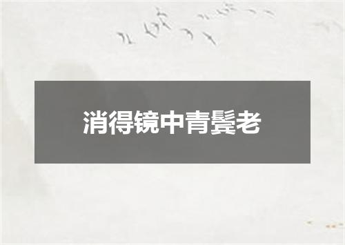消得镜中青鬓老