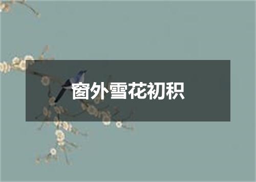 窗外雪花初积
