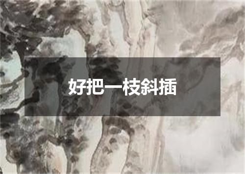 好把一枝斜插