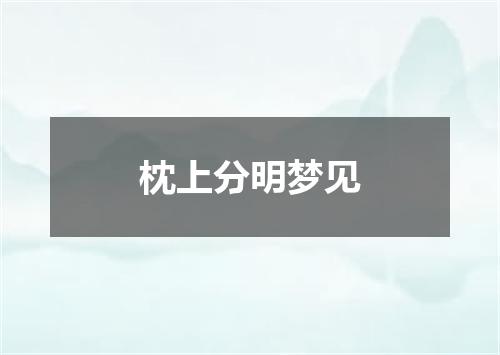 枕上分明梦见