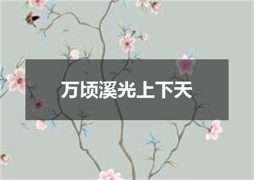 万顷溪光上下天