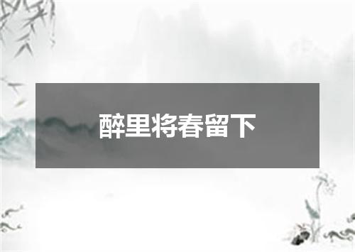 醉里将春留下