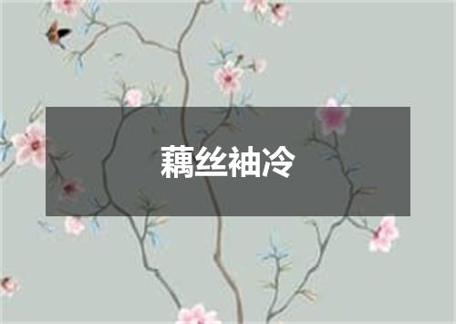 藕丝袖冷