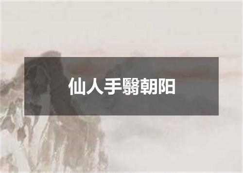 仙人手翳朝阳