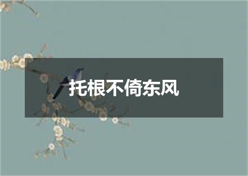 托根不倚东风