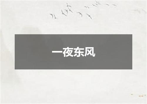 一夜东风