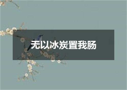 无以冰炭置我肠