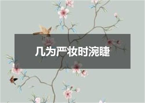 几为严妆时涴睫