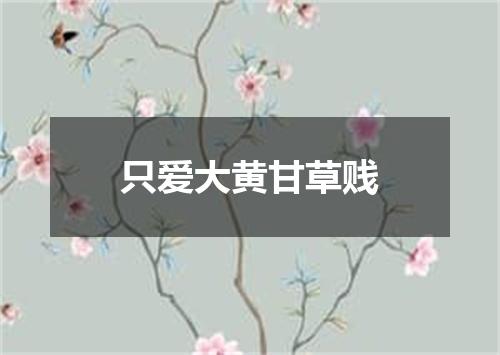 只爱大黄甘草贱