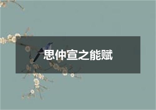 思仲宣之能赋