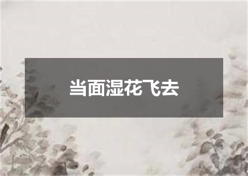 当面湿花飞去