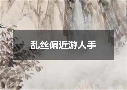 乱丝偏近游人手
