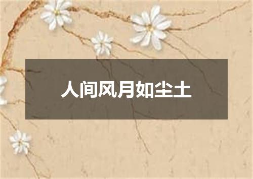 人间风月如尘土
