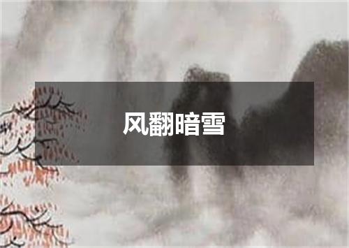 风翻暗雪