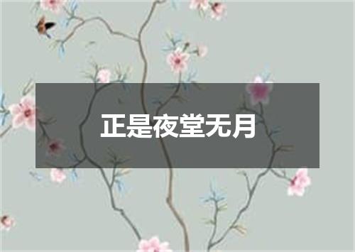 正是夜堂无月