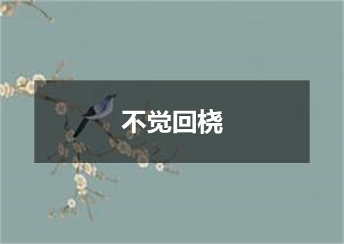 不觉回桡
