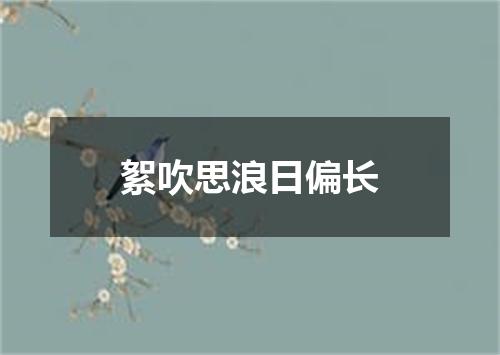 絮吹思浪日偏长