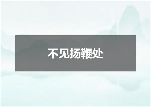 不见扬鞭处