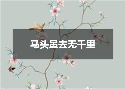 马头虽去无千里
