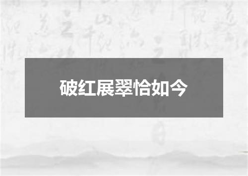 破红展翠恰如今