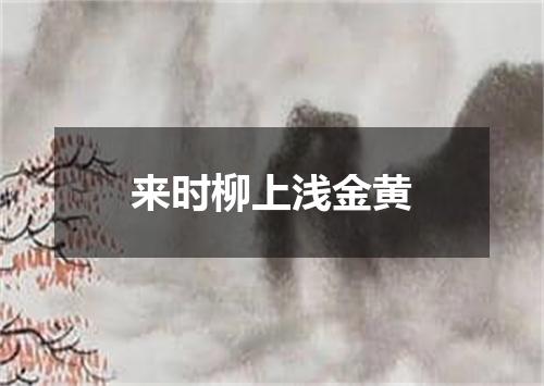 来时柳上浅金黄