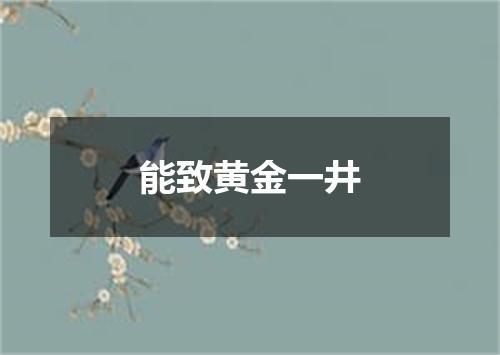 能致黄金一井