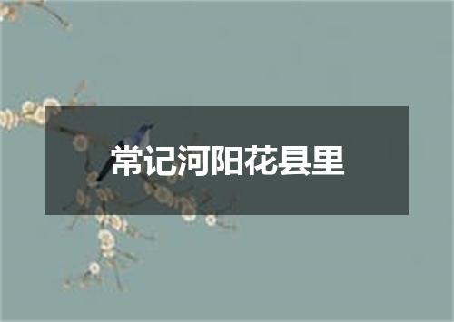 常记河阳花县里