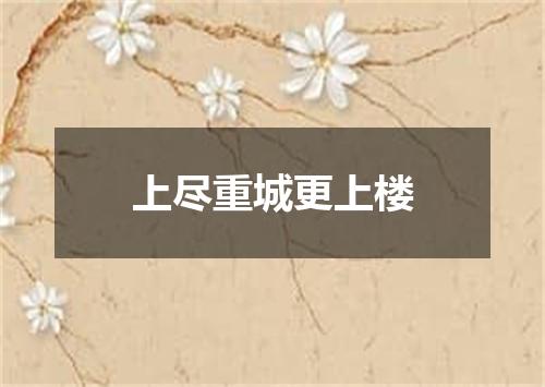 上尽重城更上楼