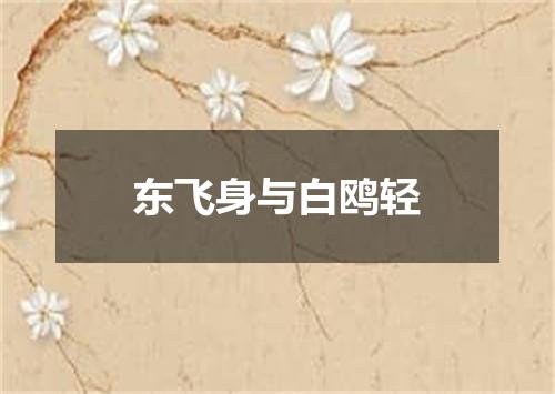 东飞身与白鸥轻
