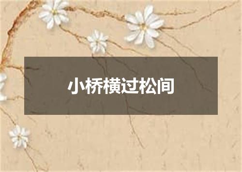小桥横过松间