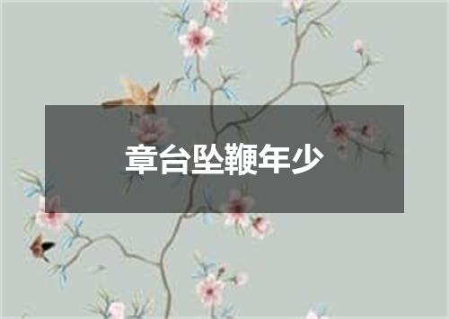 章台坠鞭年少