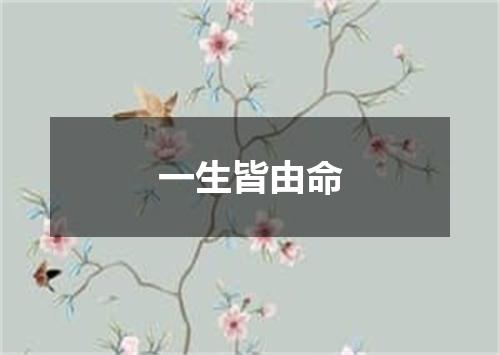 一生皆由命