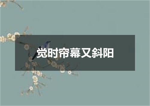 觉时帘幕又斜阳