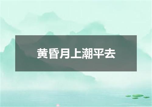 黄昏月上潮平去