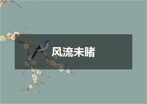 风流未睹