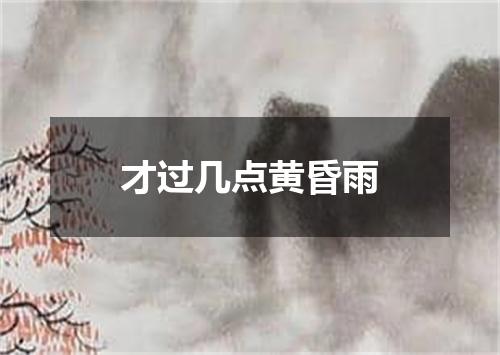 才过几点黄昏雨