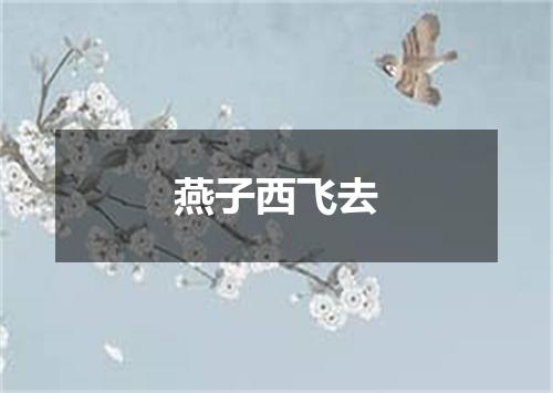 燕子西飞去
