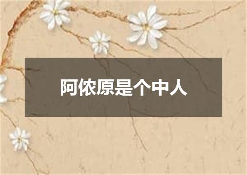 阿侬原是个中人