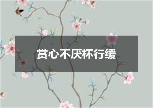 赏心不厌杯行缓
