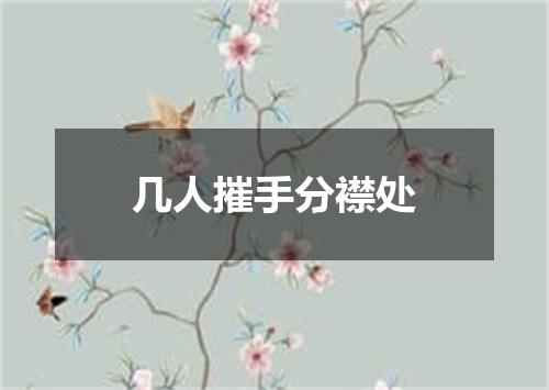 几人摧手分襟处