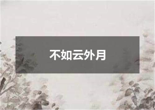 不如云外月