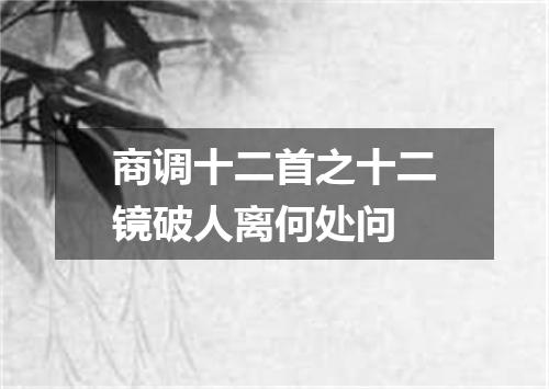 商调十二首之十二镜破人离何处问